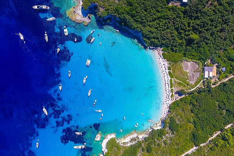 Antipaxos