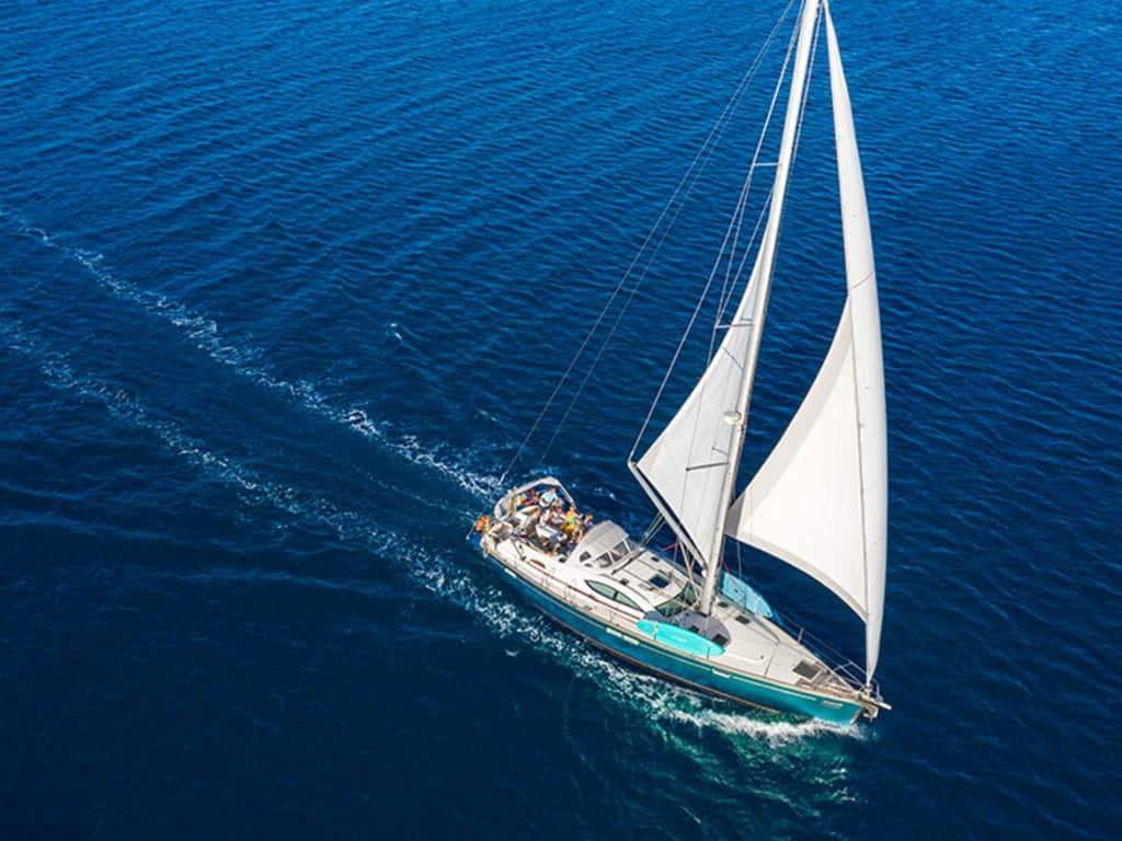 Morpheus 54DS - Bird
